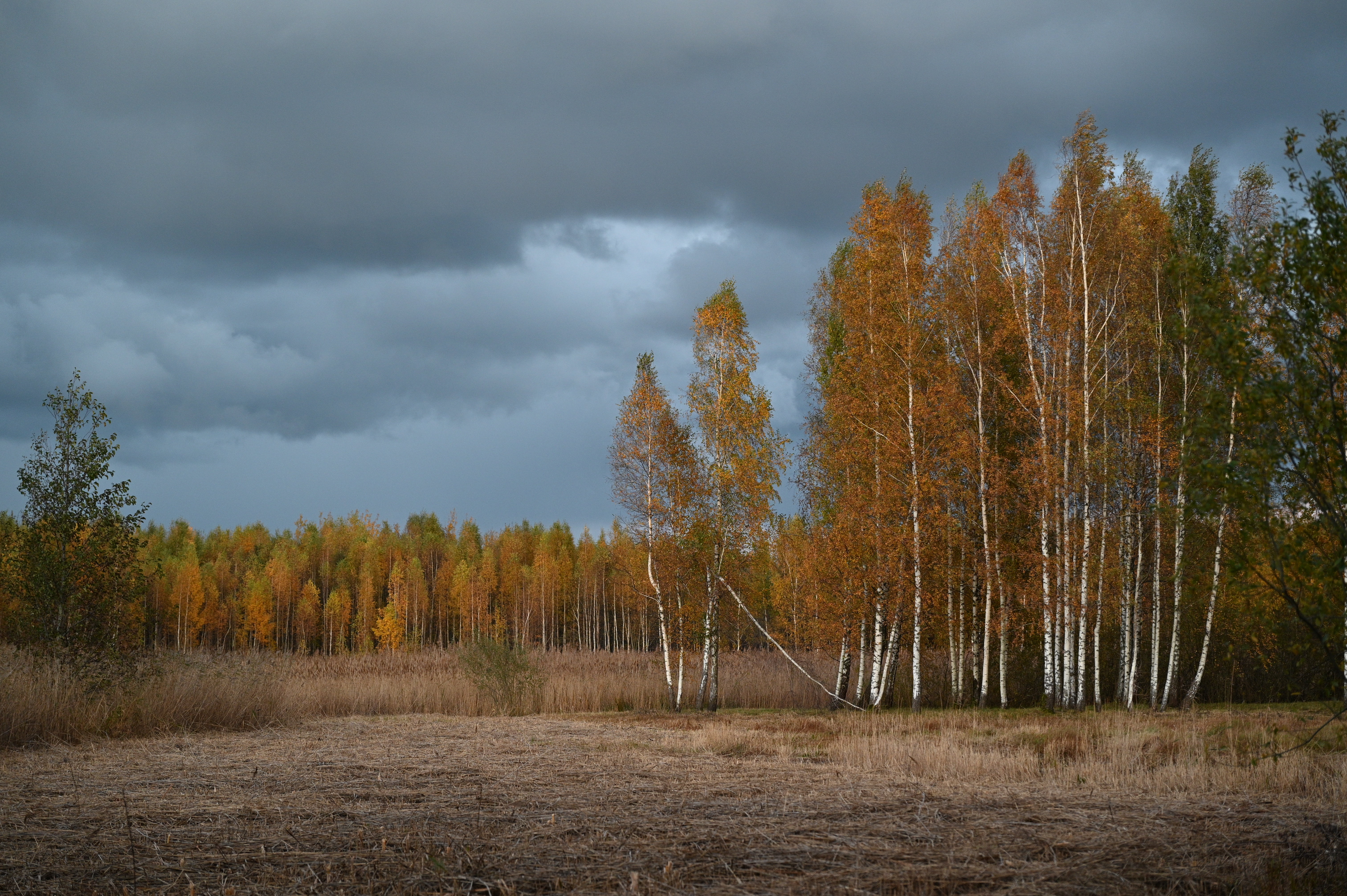 2025/10/18 - walk/DSC_0544.JPG